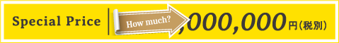 Special Price