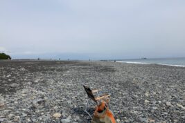 水平線を眺め、日常を「五感」でリセットする時間