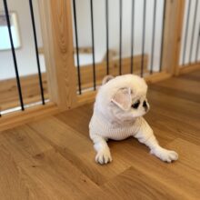 家族のために「お家づくり」を通してできること