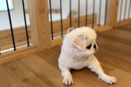 家族のために「お家づくり」を通してできること