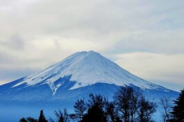 LaWの見学会へのご来場、ありがとうございました！