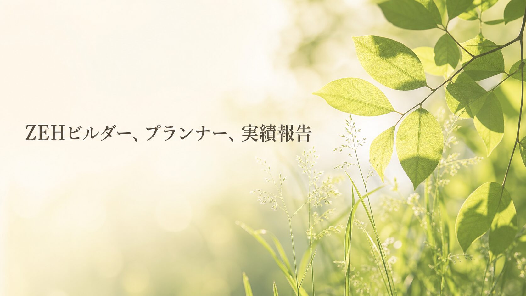 ZEHビルダー/プランナー 実績報告 2025